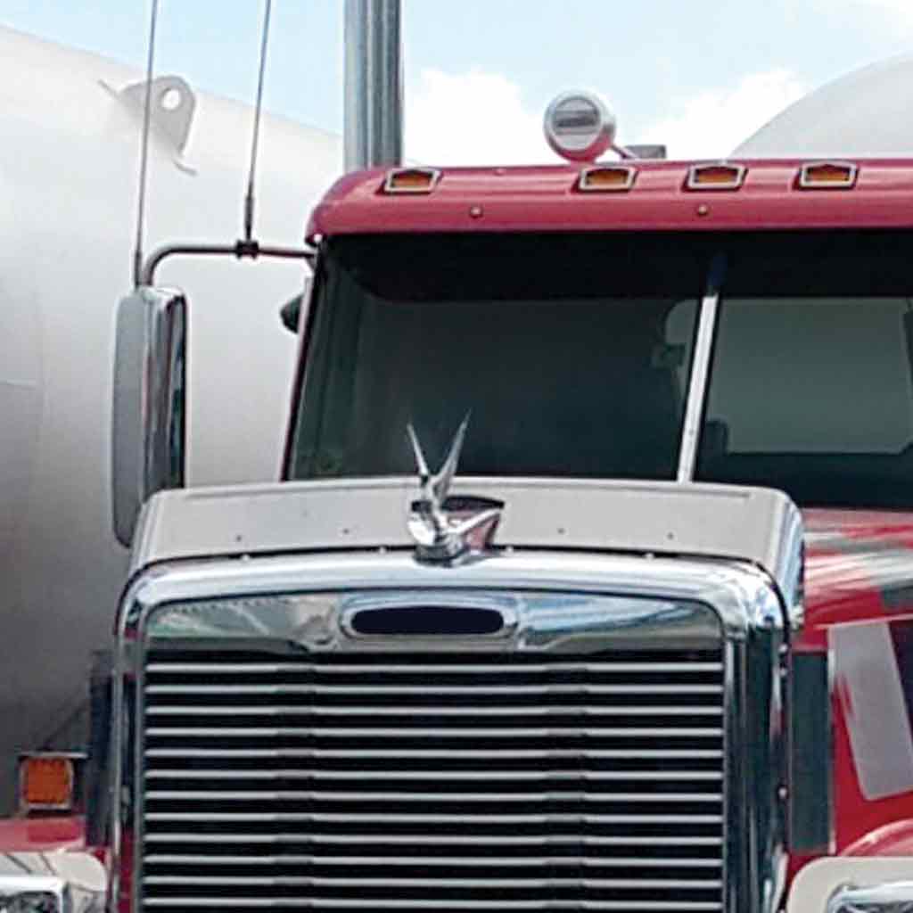 Freightliner Cornada (2011+) Stainless Steel Bug shield