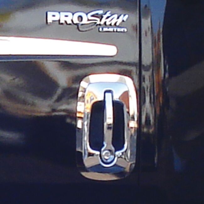 International Door Handle Trim Pair