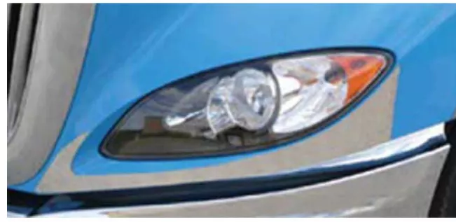 International Prostar Fender Guard