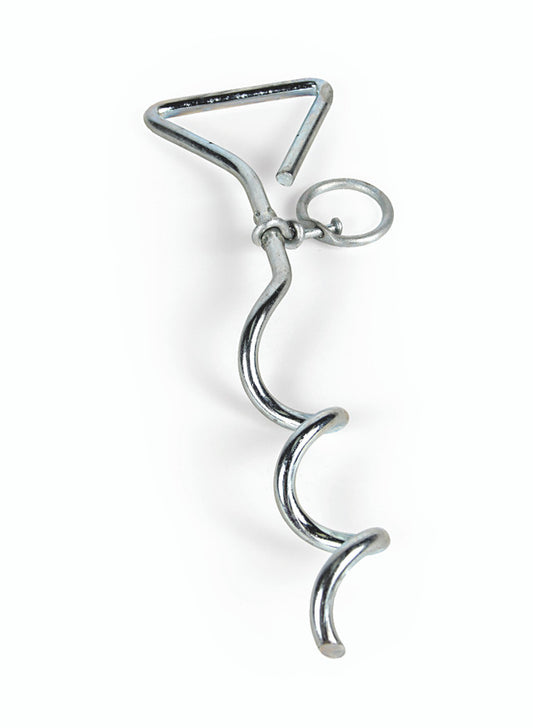 Spiral Anchor Tie-Out with Ring