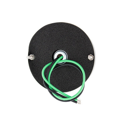 UltraBurst Glass Watermelon Flush Mount Kit With 18 LED Bulb-Green / Clear