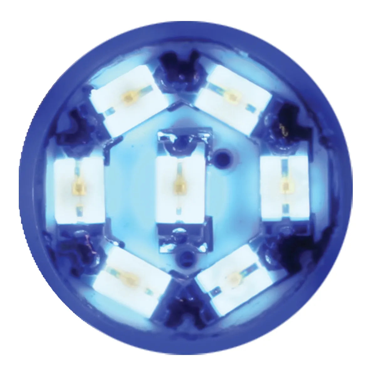 194/168 DOME TYPE 7 LED LIGHT BULB Blue