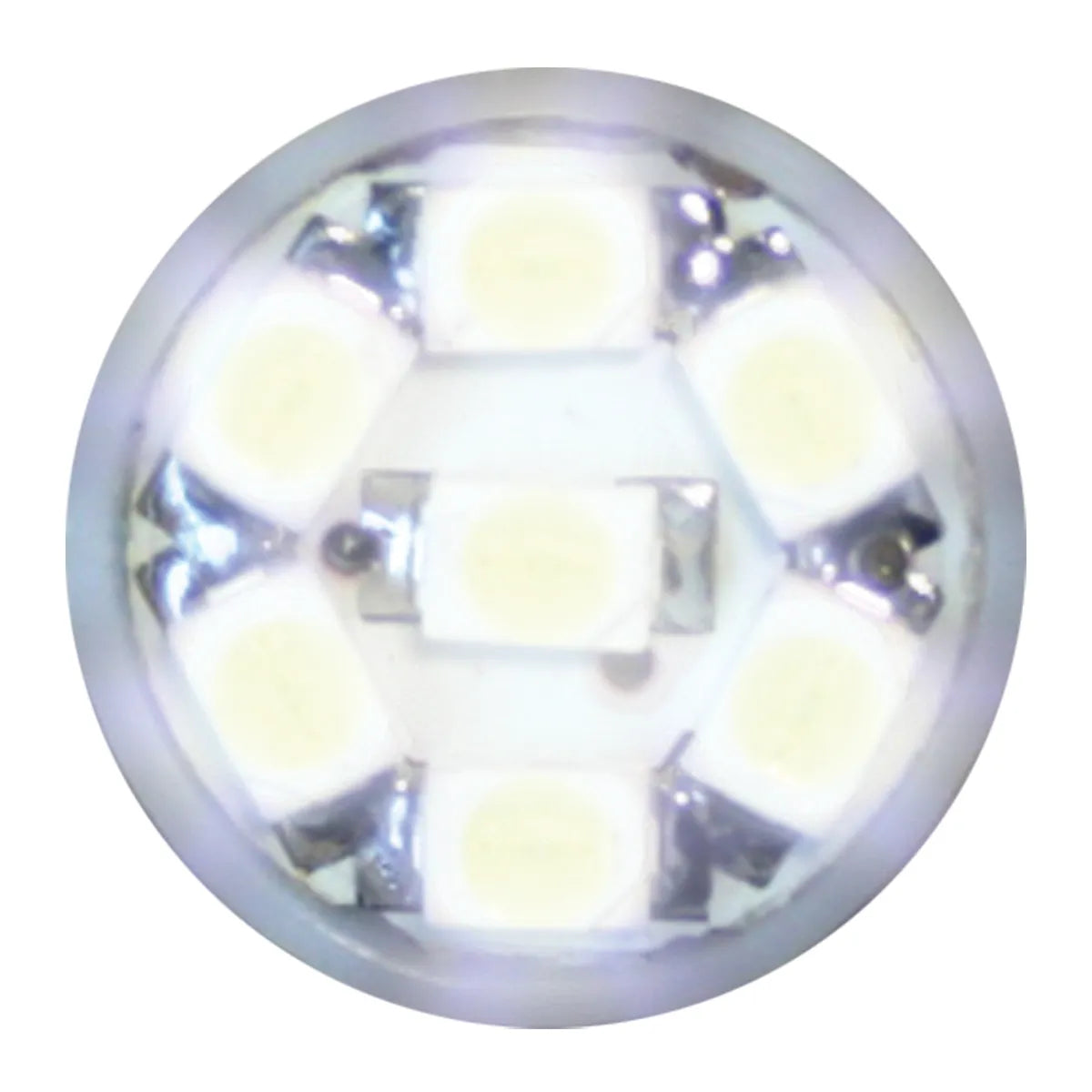 194/168 DOME TYPE 7 LED LIGHT BULB White