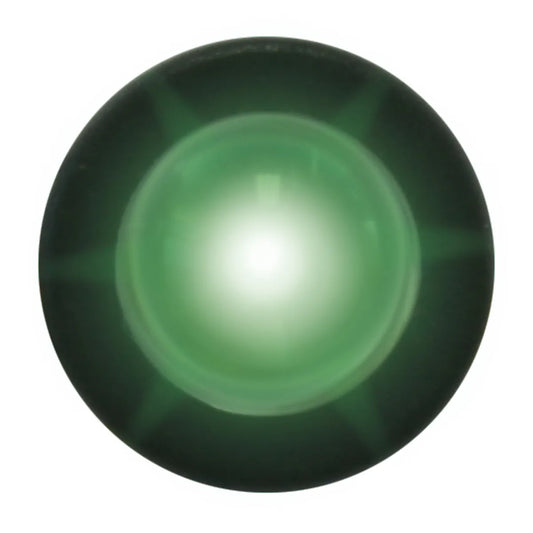 INTERIOR SINGLE LED SNAKE LIGHT - Green