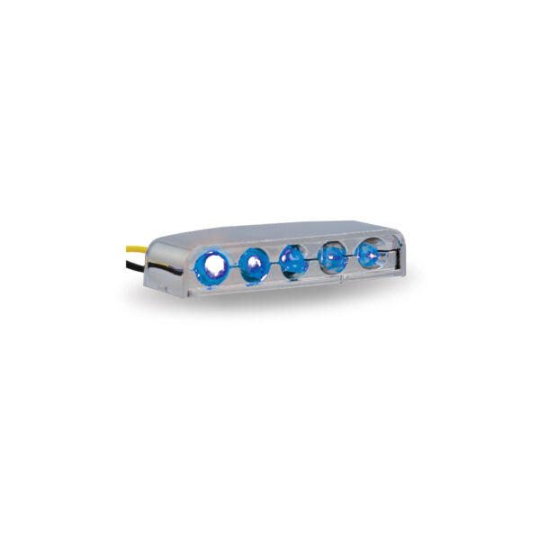 Auxilliary Courtesy LED Light - 5 Diodes