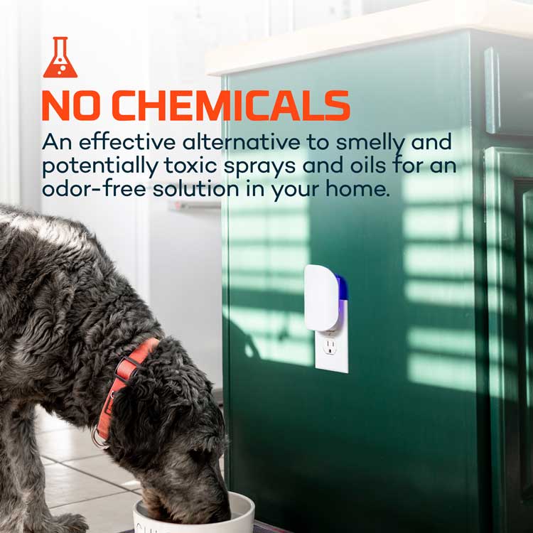 Nebo Flying Insect Trap